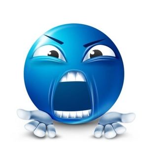 Meet your Posher, Leela